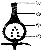 下图是某些生物的生殖和发育过程示意图其中①代表受精