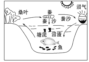 鱼鸭稻模式图图片