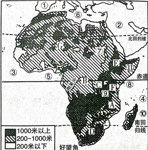 绘制非洲地形图图片