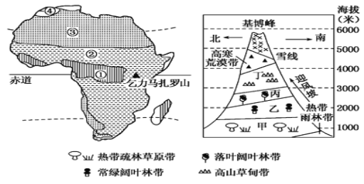 下面为非洲自然带分布图下左图和乞力马扎罗山垂直自然带分布图下右图